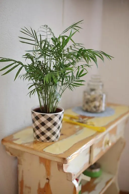 Guest house Old Town Rooms - Koludraska Street Pag Island